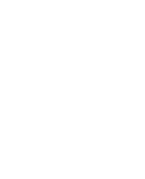 Limache Futsal